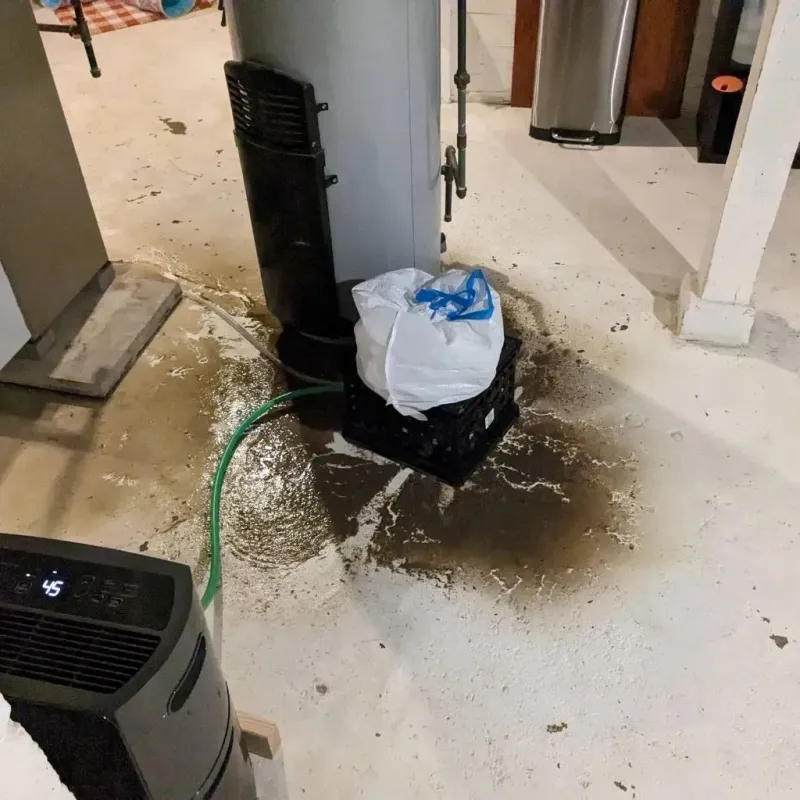 Sewage Backup Cleanup Service in Orcutt, CA